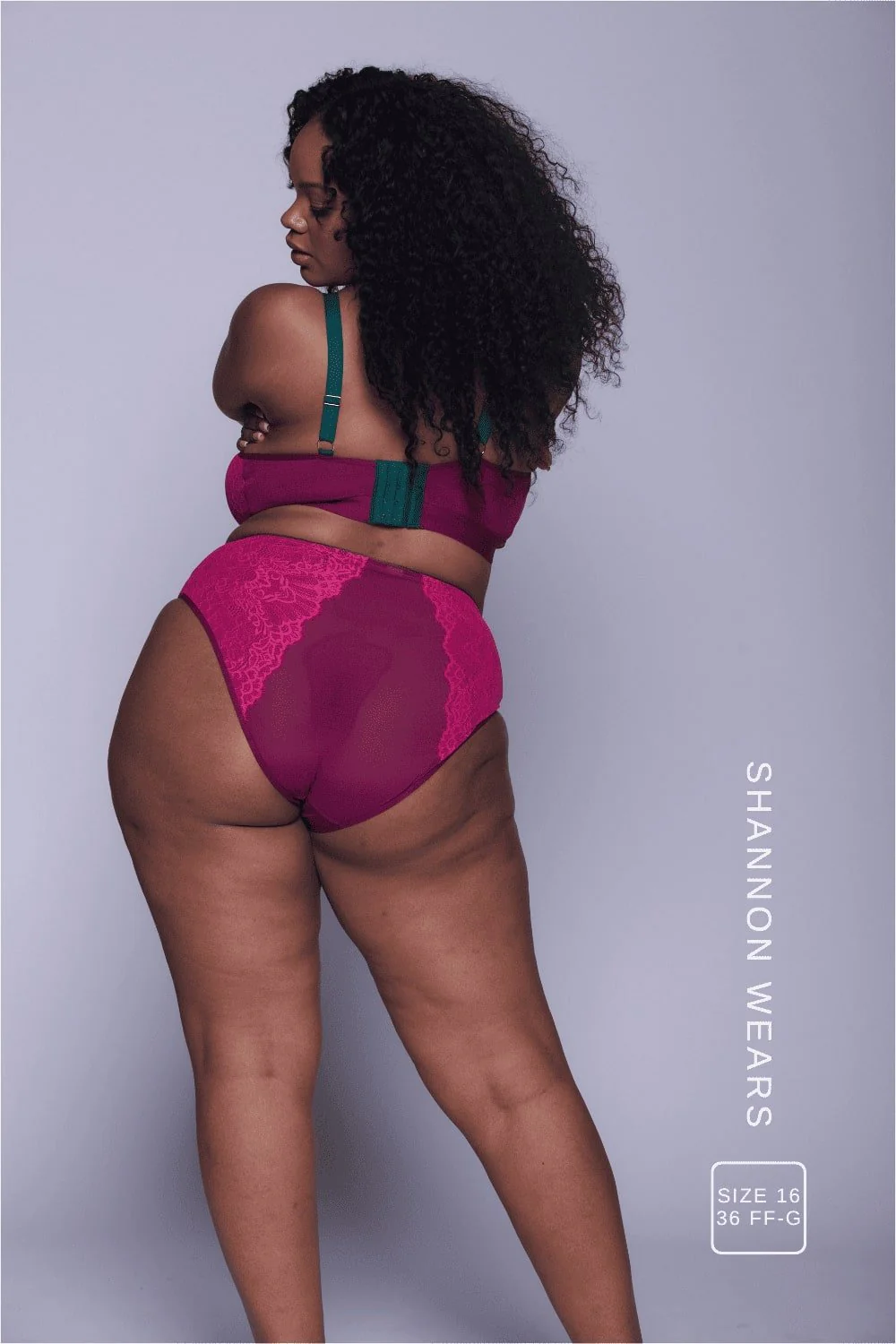 Synergy Lace High Waisted Brief - Wine - Image 6